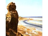 A pillar of salt at the Dead Sea, reminiscent of Lot`s wife.